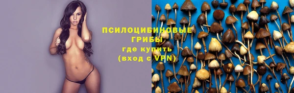 стафф Переславль-Залесский
