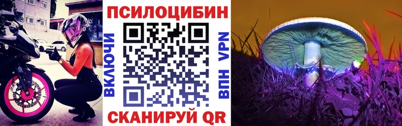 Псилоцибиновые грибы Psilocybe  KRAKEN вход  Кондрово 